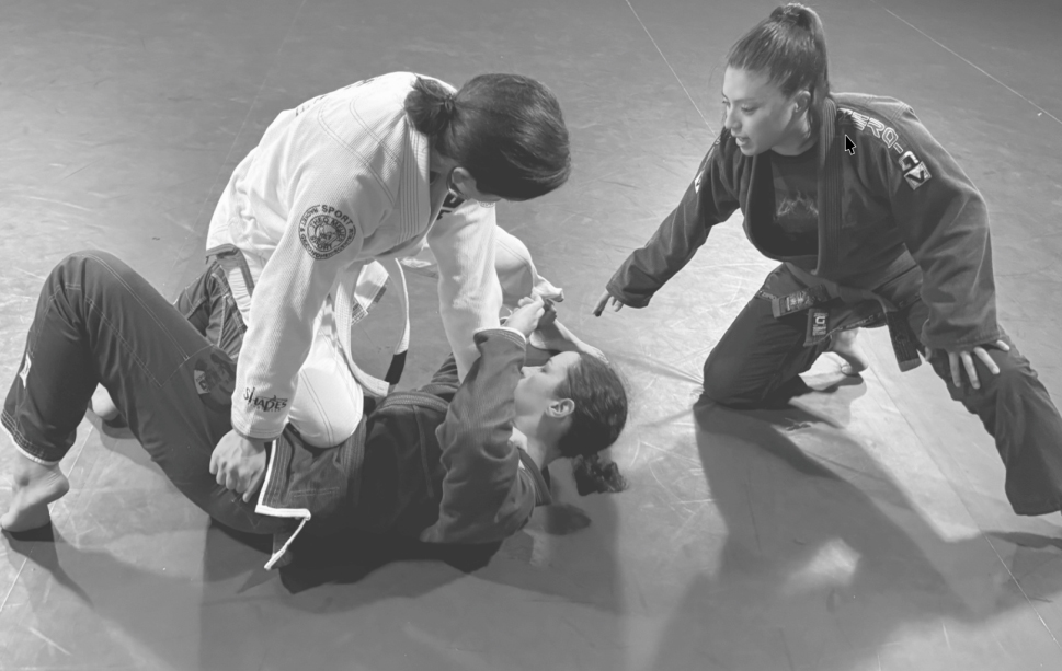 BJJ Ladies Only - CURSUS